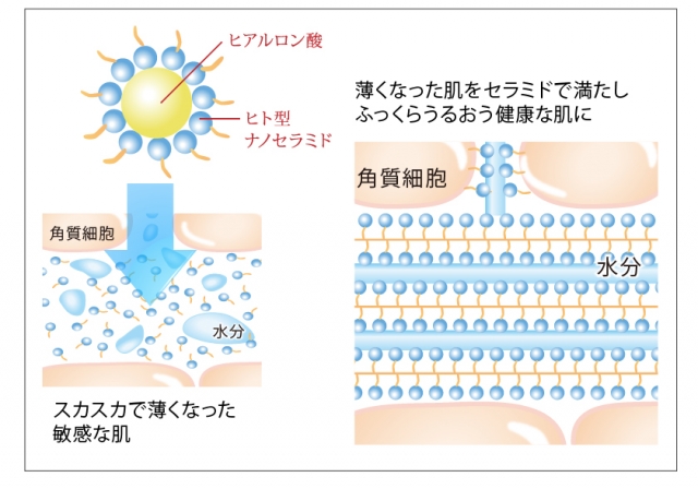 口コミ：赤いほっぺた対応のオールインワン乳液の画像（13枚目）