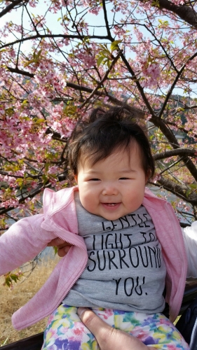 河津桜と笑顔の娘の画像（1枚目）