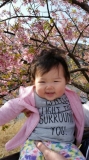 「河津桜と笑顔の娘」の画像（1枚目）