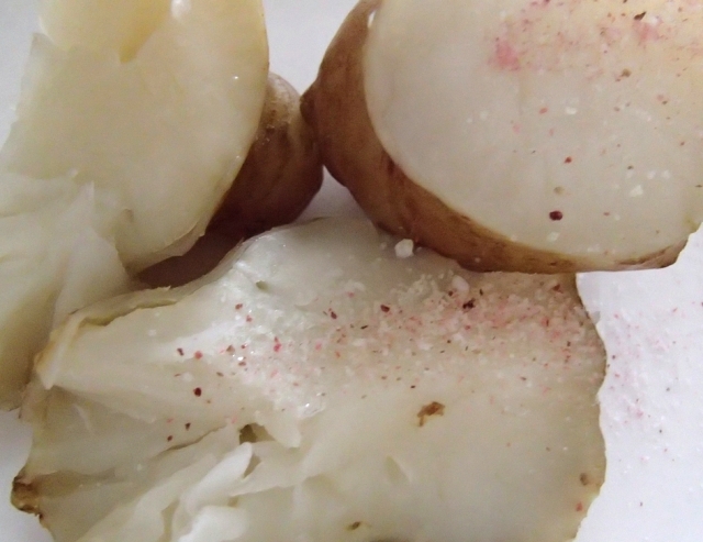 口コミ：季節を楽しめる美味しい塩♪　海の精さんの　桜の塩の画像（13枚目）