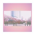 #目黒川の桜 やっと春がきた🌸.#桜 #🌸 #満開 #目黒川 #tokyo #meguro #meguroriver #sakura #japan #pink #pinkpinkpink #桜…のInstagram画像