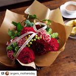 #39mom #アンジェありがとう委員会 #monipla #アンジェwebshopファンサイト参加中今年こそは仲良くしよう…よとか言いたいけど…どうなるかな？のInstagram画像