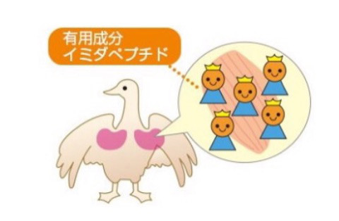 口コミ：
  脳と体の疲れに効く！日本予防医薬☆イミダペプチドドリンク
の画像（3枚目）