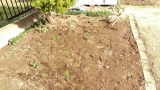 口コミ記事「庭の畑を復活！」の画像
