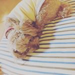 足元でお休み中です♡わたしが移動すると、自分でクッションを運んで足元にくる可愛い子♡#ペットの贅沢水素水 #犬 #猫 #水素水 #ミネラルゼロ #九州 #熊本 #動物看護士 #ドッグライフアド…のInstagram画像
