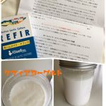 ケフィアヨーグルトー！！！モニター当たって早速作ってみた✨牛乳と、混ぜて室温で放置だから、楽チン😘酸味少なくて食べやすい👌１か月チャレンジ始めてから毎日ヨーグルト買ってたからこ…のInstagram画像