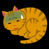 口コミ：国産だから安心！猫のおやつ「ねこ姫 厳選素材ふりかけ」をうちのネコがお試し！  |  ミズタマブログの画像（3枚目）