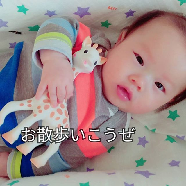 口コミ投稿：連日晴れ続きで助かる😍☀けど梅雨になったら、お散歩どうしたらいいのか．．心配💦👶近…