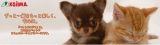 口コミ記事「猫さんにおやつをあげたい飼い主(笑)｜めあのブログ」の画像