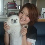 おしりにおでき出来ました。しぼったら出るかな？って思ったら、ﾌﾞｼﾞｭﾌﾞｼﾞｭｰってニキビ？粉瘤クラスの大物出てきました。痛かったよね...ごめんね！わんこもニキビ出来るのね〜。#ビオワ…のInstagram画像