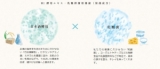 口コミ：日本酒酵母×乳酸菌の「プモアクリーム」で、濃厚保湿☆ - 未分類の画像（7枚目）