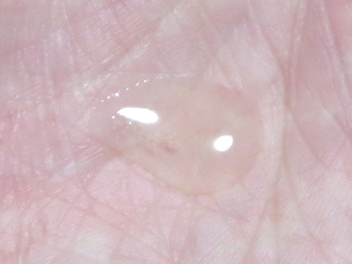 口コミ：石澤研究所★「透明白肌　薬用Wホワイトエッセンス」レビュー♪の画像（5枚目）