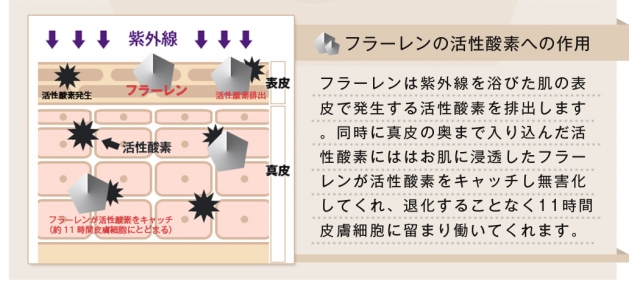 口コミ：ガチでオススメの日焼け止め♫の画像（3枚目）