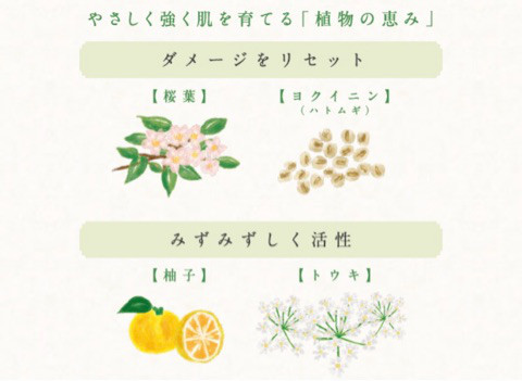 口コミ：日本酒酵母×乳酸菌のスキンケア♪プモア♪の画像（5枚目）