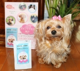口コミ記事「動物看護師が開発した愛犬サプリ」の画像