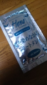 口コミ記事「hena」の画像