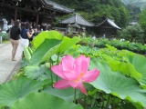 「京都とグルメ」の画像