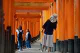 「懐かし京都は私を育てた街」の画像