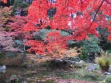 「8月に京都を旅します」の画像（2枚目）