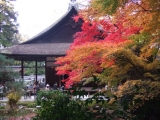 「「8月に京都を旅します」」の画像