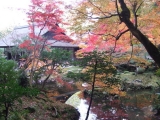 「8月に京都を旅します」の画像（1枚目）