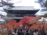 「8月に京都を旅します」の画像（5枚目）
