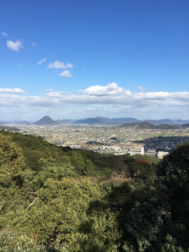 夏を感じる涼しげな写真。の画像（3枚目）