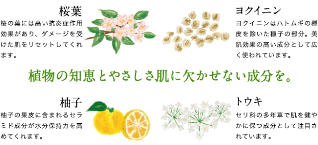 口コミ：日本酒酵母・乳酸菌配合♡pour moi(プモア) クリームの画像（5枚目）