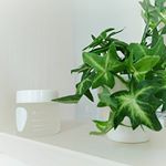 紫外線や乾燥が気になる時期🌅🌼WHITE ICHIGO オーガニック スリーピング マスク🌼で集中ケア❗白いちご、アルブチン、木いちごの種子油、3種のヒアルロン酸、肌荒れを防ぐ…のInstagram画像