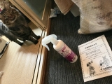 口コミ記事「猫ちゃんのおしっこ臭にお困りの方～おしっこ臭に特化した消臭剤モニター大募集!」の画像