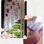 121種類の酵素やベリー成分、野菜やスーパーフードをたっぷり配合のモリンガを取り入れてみました😃抹茶のような味なので豆乳や和のお菓子に合います♥飲み続けていたらおなかすっきりしました✨#すっきりミラク…のInstagram画像