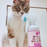 口コミ記事「猫ちゃんのおしっこ臭に特化した消臭剤✐☡」の画像