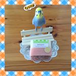 .ルル:この石けん、とってもいい香りだな！🐥💐."MARCHEVON"(マルシェボン)とは、"MARCHE"(マルシェ＝市場)と"SAVON"(サボン＝石鹸)を掛け合わせた造語なんだとか！.…のInstagram画像