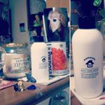 ママケア ミルキーハンドクリーム。ポンブなのでキッチンに置いてさっと使えます✨さらっとした使い心地て手によく馴染む。無香料。・#ママケア#おしゃれ#ハンドクリーム#インテリア雑貨#家事の合…のInstagram画像