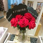 ブラ選びに革命✨もっと好きになれるランジェリーを✨5sizeなのにどんな胸にも不思議とフィット🎵Chut 5SIZEお洋服の様にsizeを選ぶChut  originalのsize展開✨繊細な…のInstagram画像
