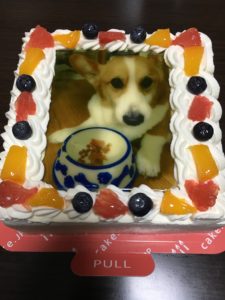 口コミ：プリントケーキを作ってみました！「 cake.jp 」の画像（2枚目）