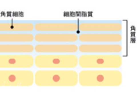 口コミ：たどり着いたのはシンプルケア⑵の画像（3枚目）