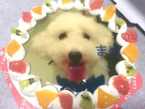 口コミ記事「【これはフォトジェニック！】犬の写真ケーキを注文してみた！【お祝いにオススメ】」の画像