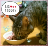 口コミ：大切な愛猫に美味しい無添加キャットフードを♡の画像（3枚目）