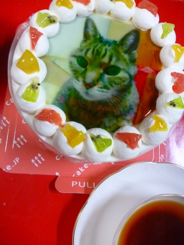 口コミ：みーちゃんがケーキになりました！Cake.jpの画像（7枚目）