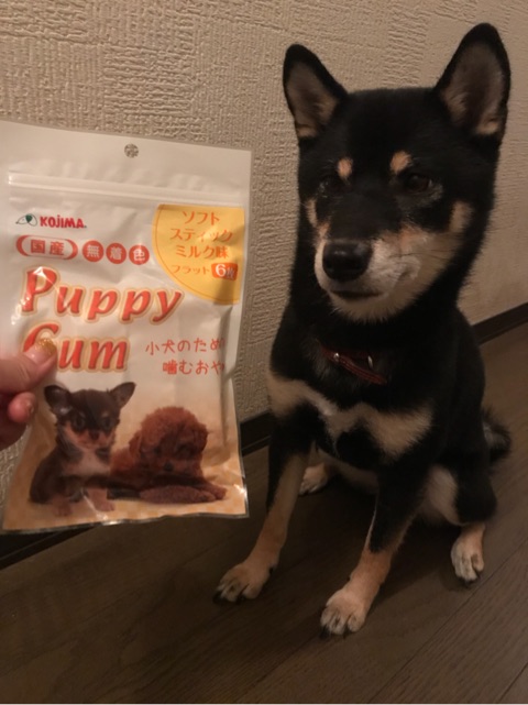 口コミ：愛犬茶々の噛むおやつ〜パピーガム ソフト スティック ミルク味 フラット〜の画像（3枚目）