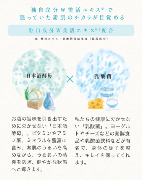 口コミ：プモア クリーム(保湿クリーム)のモニター！日本酒酵母×乳酸菌の画像（2枚目）