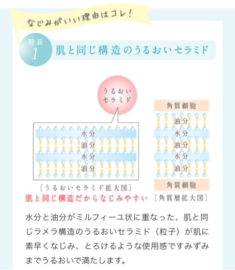 口コミ：プモア クリーム(保湿クリーム)のモニター！日本酒酵母×乳酸菌の画像（11枚目）