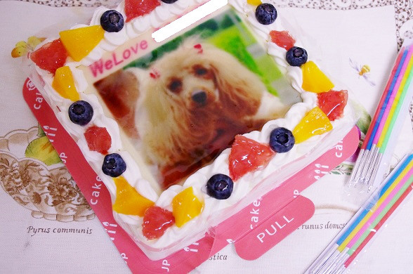 口コミ：
    #Cakejp でオリジナルデコレーションケーキ♡
  の画像（8枚目）