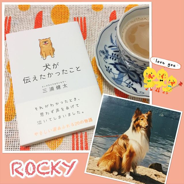口コミ投稿：.優しい気持ちになれる本『犬が伝えたかったこと』。愛犬ロッキーを思い出しました！…