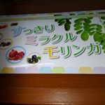 すっきりミラクルモリンガを飲んでみました。ホームページも拝見しましたが、１日摂取量たっぷり1000mlは、何が？と思いました。9000億個の植物性乳酸菌は興味がわきますね。見た…のInstagram画像