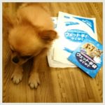 口コミ：わんちゃんのお散歩、お出かけのお供に♪エチケットパック　マナーくんがとっても便利！拾ってポイっと流すだけ！の画像（10枚目）