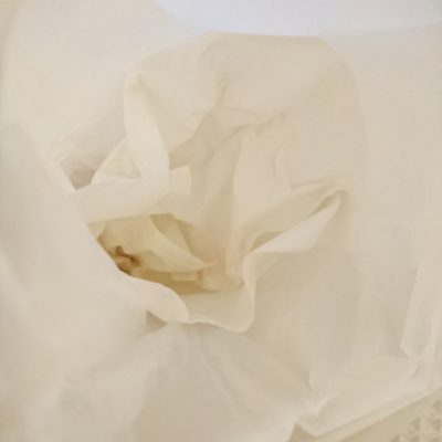 口コミ：わんちゃんのお散歩、お出かけのお供に♪エチケットパック　マナーくんがとっても便利！拾ってポイっと流すだけ！の画像（4枚目）