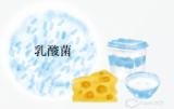 口コミ：日本盛　プモア クリームの口コミ！日本酒酵母×乳酸菌の美活力で、お肌ぷるぷる潤う～♪の画像（8枚目）