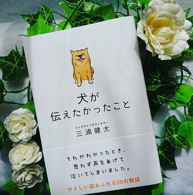 口コミ投稿：サンクチュアリ出版犬が伝えたかったこと読んでいて、感動して泣きました。無邪気で…